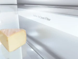 Miele Meesterkoel<K 2812Vi