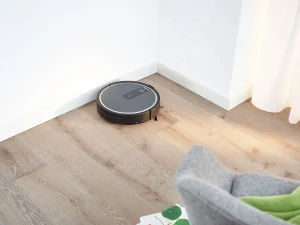Miele Accessoires<Rx1 Zijborstels
